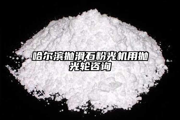 哈爾濱拋滑石粉光機用拋光輪咨詢